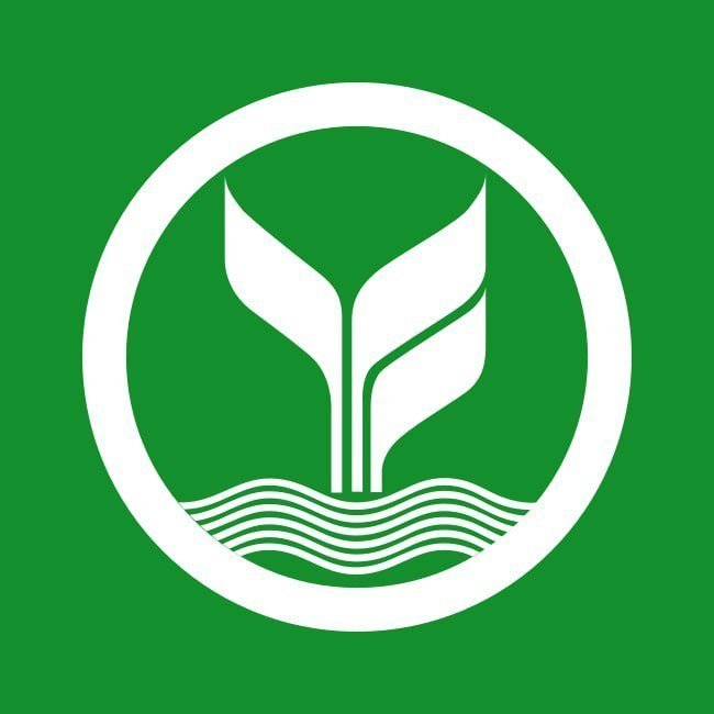 GTXPLUS